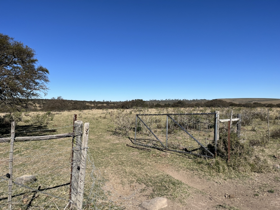 0 Bedroom Property for Sale in Stutterheim Rural Eastern Cape